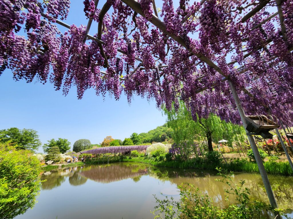 Travel to Japan with Aloha. RNL TOURS, an invitation-based travel ...