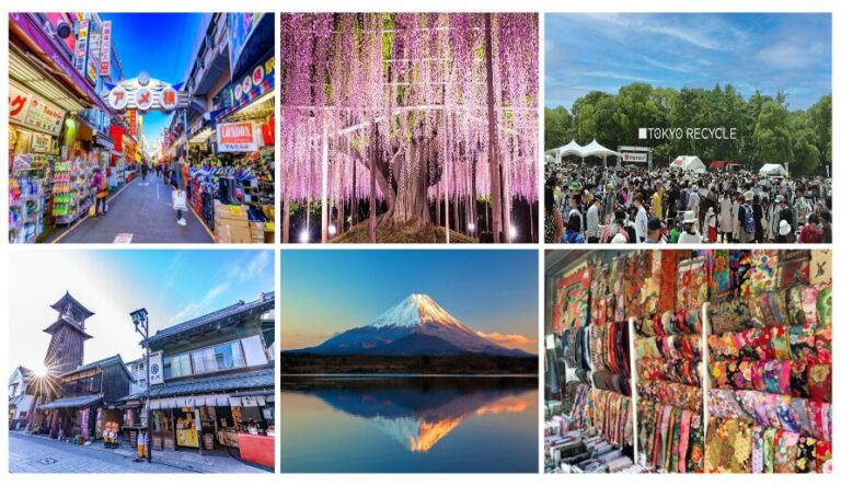 2025 ALOHA RNL TOKYO Mt.FUJI SHOPPING 10 DAYS TOUR #14 | Travel to ...